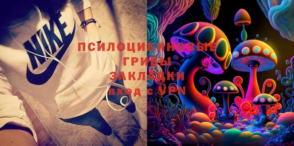 PSILOCYBIN Лиски