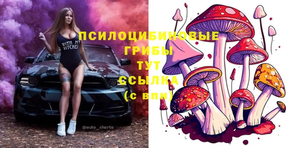 индика Липки