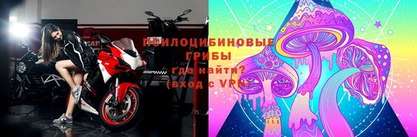 индика Липки