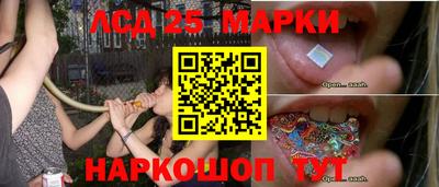 стаф Донской