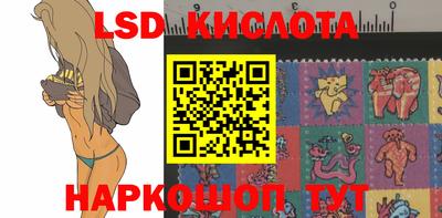 стаф Донской