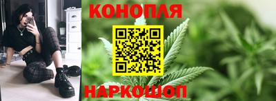 стаф Донской