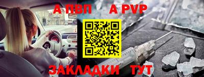 стаф Донской