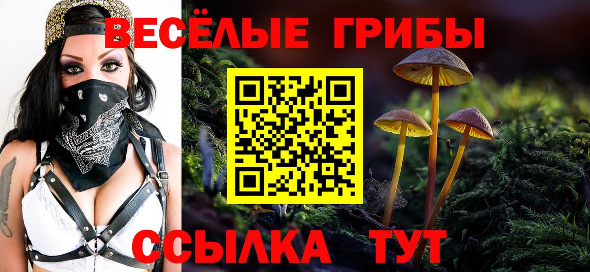 НБОМе Мелеуз
