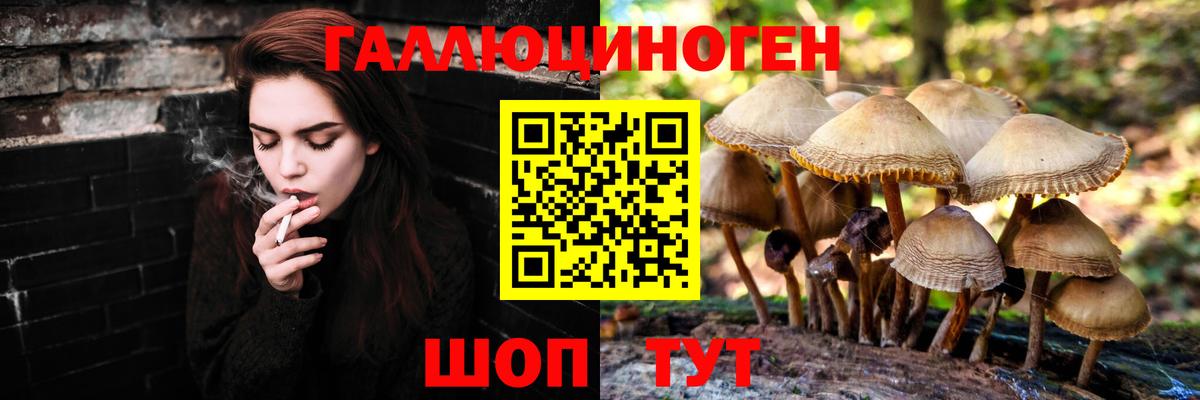 Псилоцибиновые грибы GOLDEN TEACHER Мелеуз
